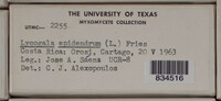 Image Associated With the Occurence